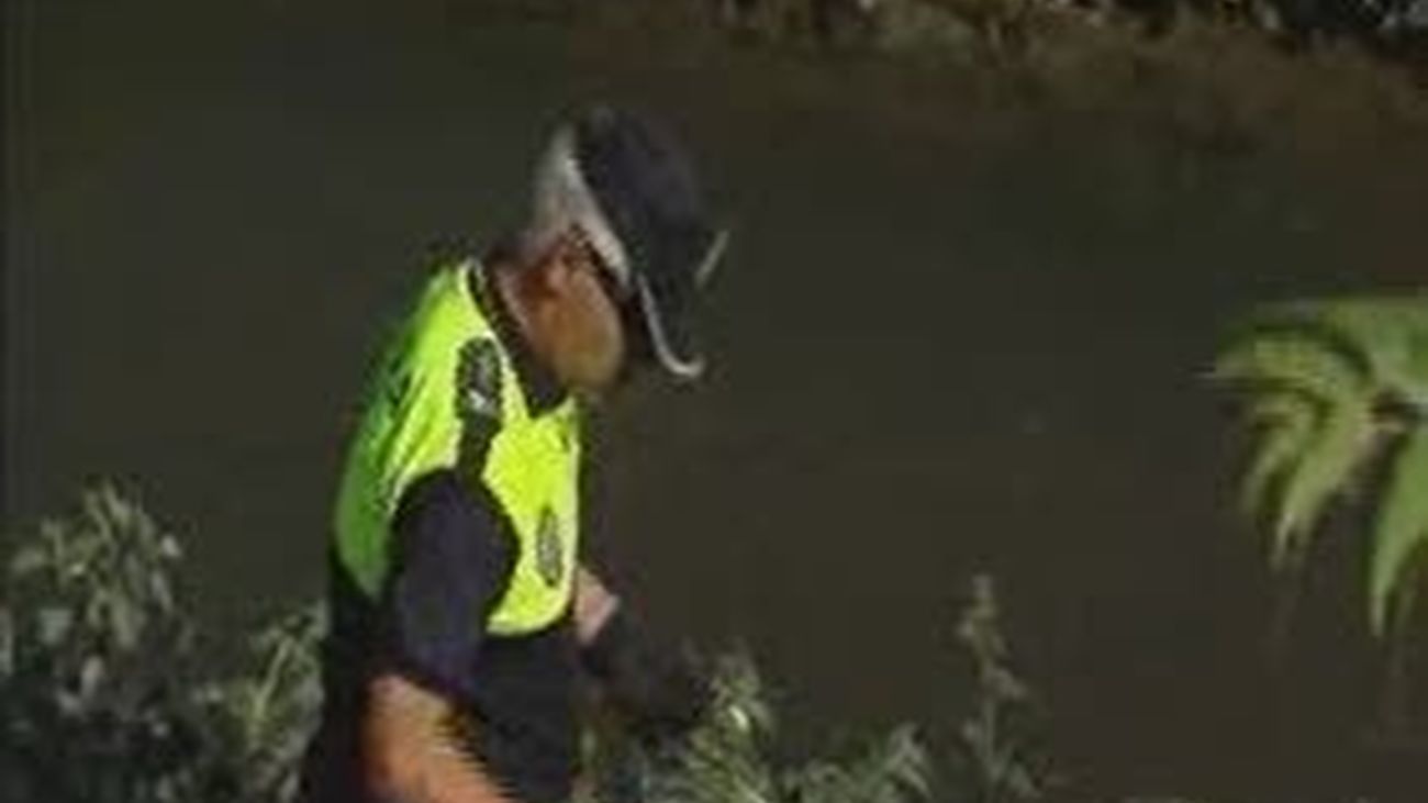 Getafe activa un dispositivo de limpieza y retira 300 plantas de estramonio