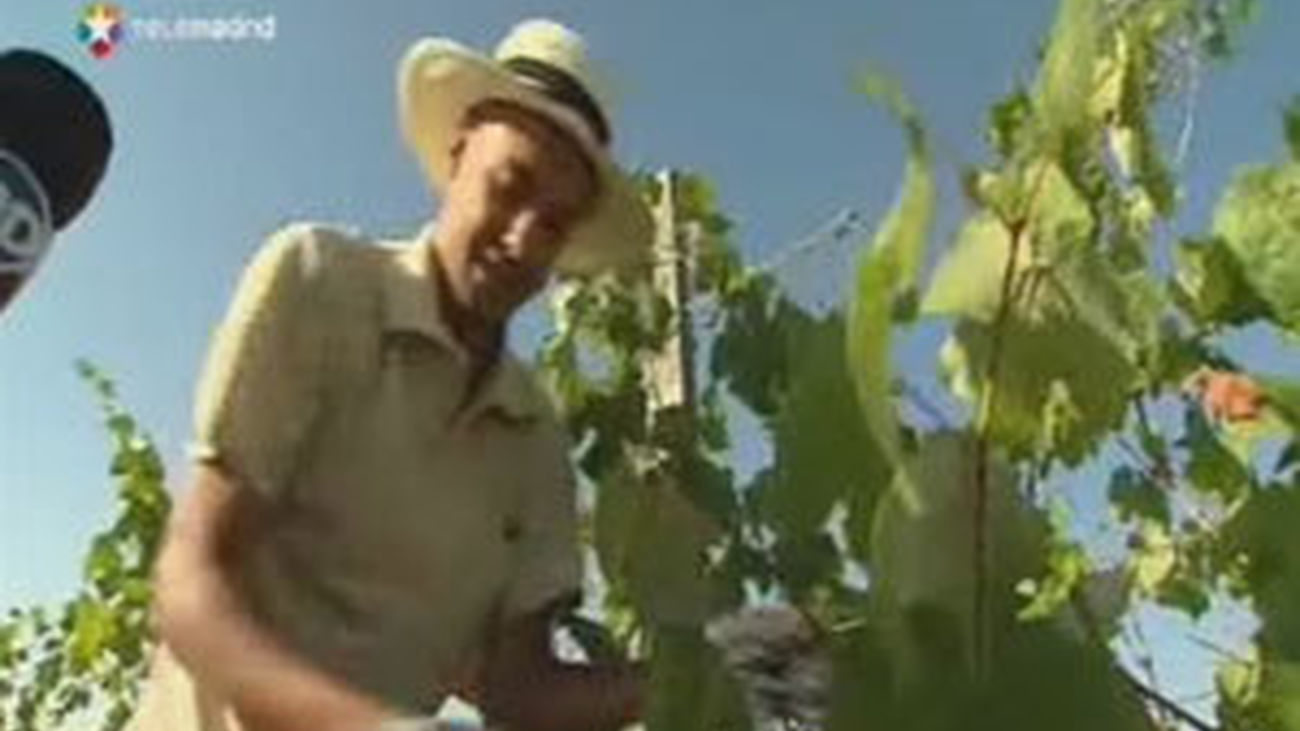 Un buen año para el vino