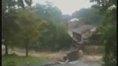 Irene deja 38 muertos en Estados Unidos