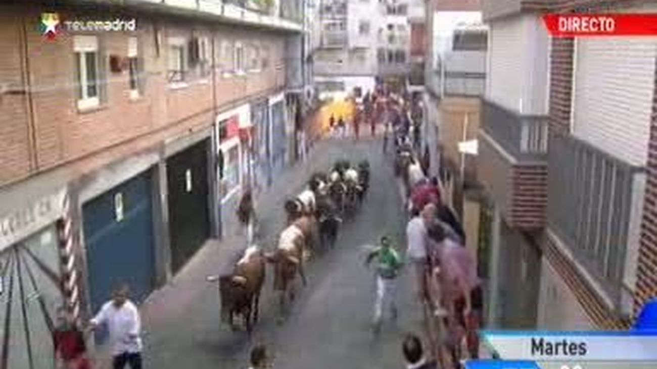 Tranquilo quinto encierro en Sanse