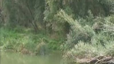 La niña de 10 meses ahogada este martes en el Ebro en Logroño fue sumergida por su padrastro