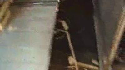 Los fruteros denuncian falta de vigilancia y limipieza en Mercamadrid