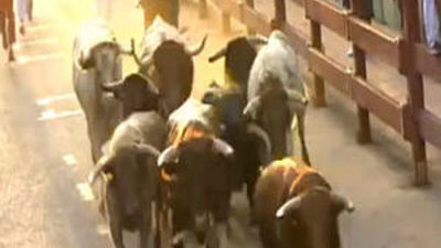 El quinto y último encierro  de las fiestas deja tres contusionados leves