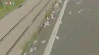 ¿Qué harían los madrileños si se encontraran cientos de billetes tirados por el suelo?