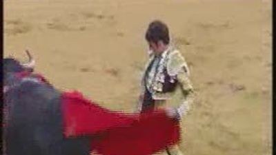 Los toros pasan desde hoy a depender del ministerio de Cultura