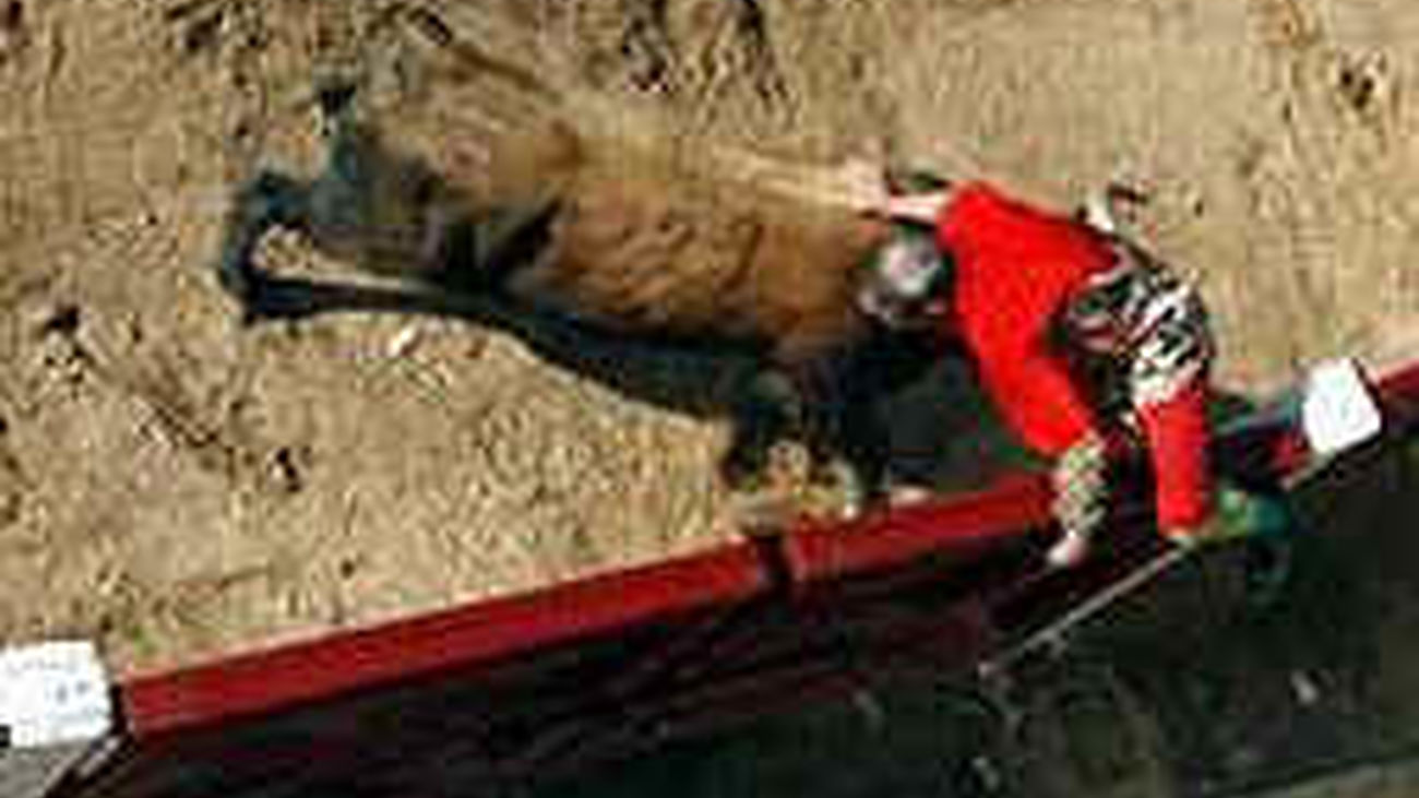 Siete fallecidos en festejos con toros este año, un total de 48 desde 2000