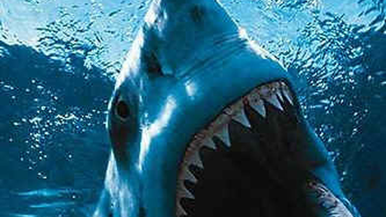 Un tiburón mata a un surfista en el oeste de Australia