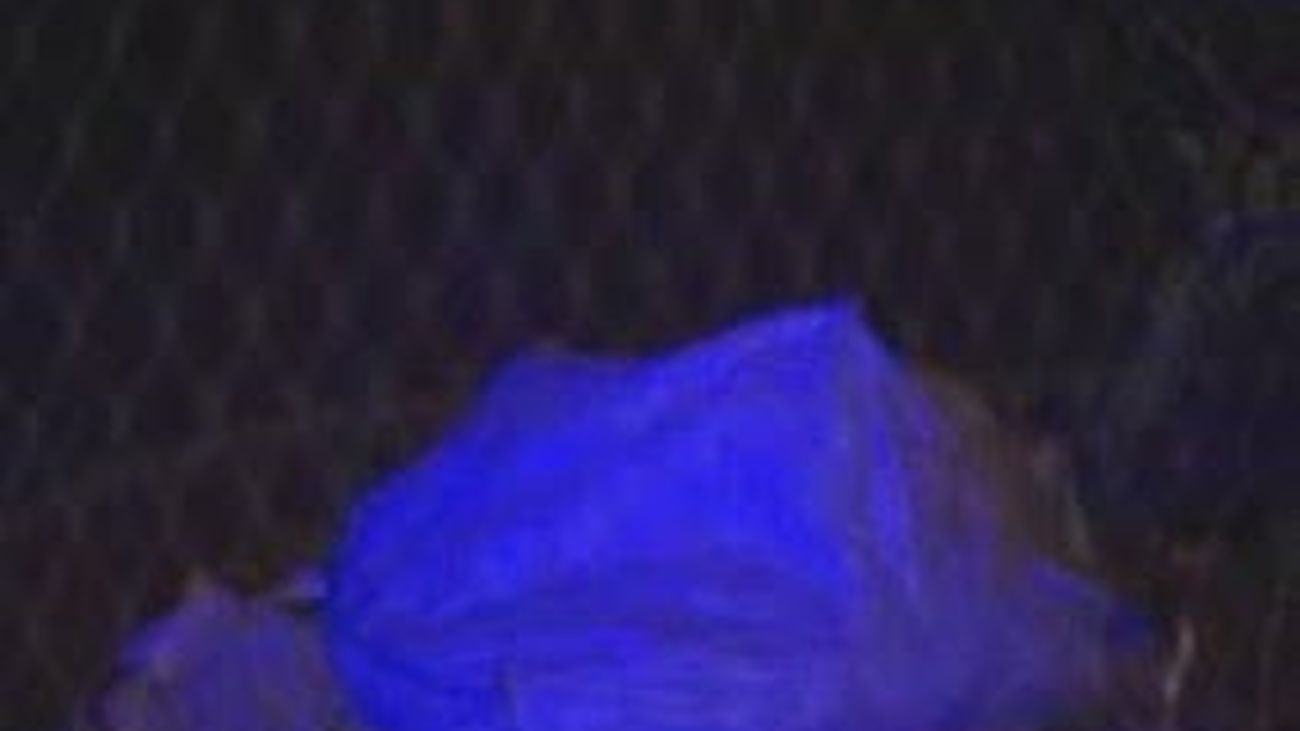 Hallado el cadáver de un joven con golpes en la cara en Alcalá de Henares