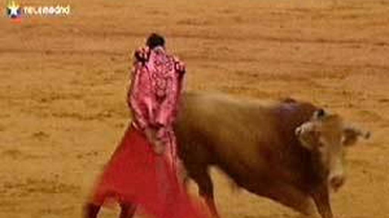 Un toro de Alcurrucén inultado en la  corrida del Motín en Aranjuez