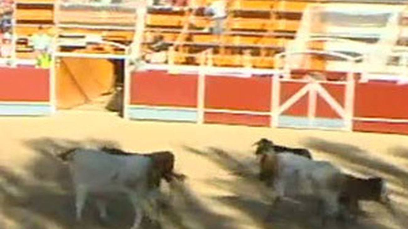 Comienzan los encierros en Pozuelo