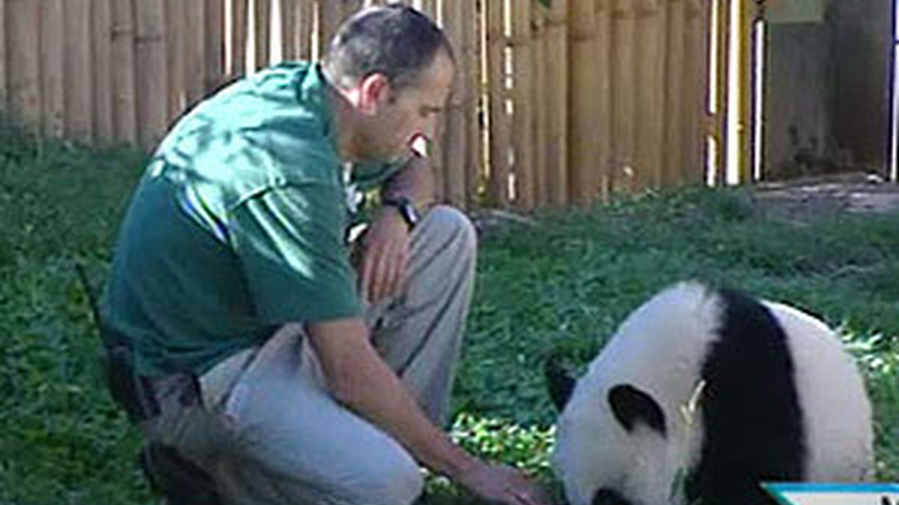 ¡Feliz cumplepanda!