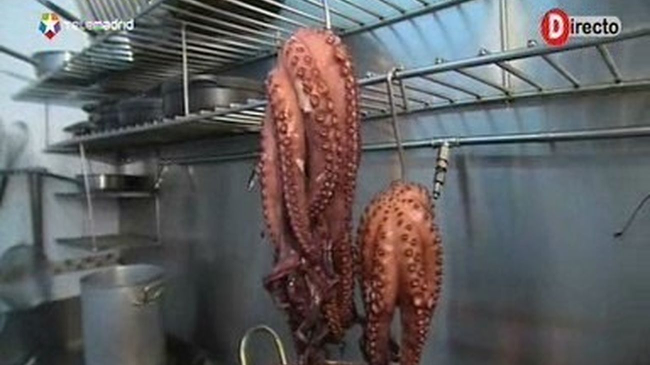 El pulpo de muchas 'maneiras'