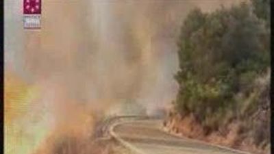 Cigarrillos que se apagan sólos