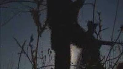 Los cazadores más expertos nos cuentan las medidas de seguridad