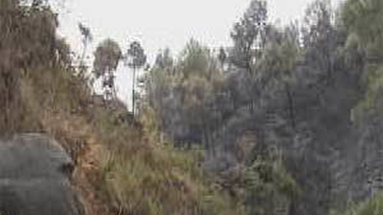 El incendio de Mijas (Málaga) afecta a 361 hectáreas  forestales y a 323 en suelo urbano