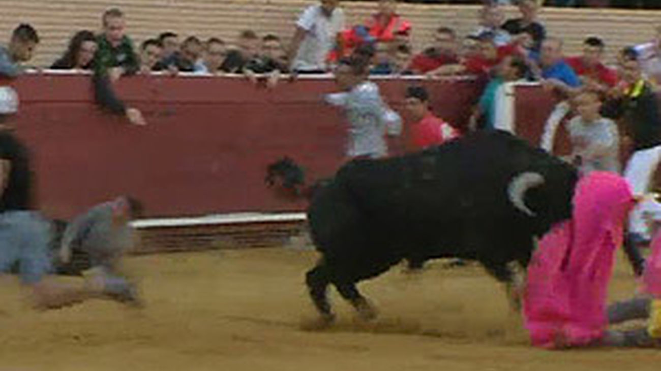 Cogida en directo en los encierros de Móstoles