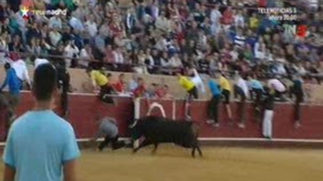 Arrancan los encierros de Móstoles