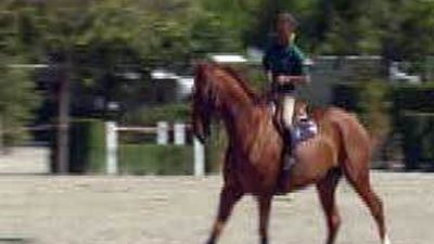 El campeonato europeo de saltos de Madrid, última prueba que dará acceso a Londres 2012