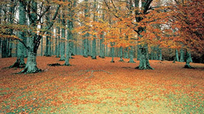 Lluvia, vientos y bajada de temperaturas acaban desde mañana con el tiempo veraniego