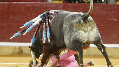 El torero Juan José Padilla evoluciona favorablemente,  pero corre el riesgo de sufrir una infección