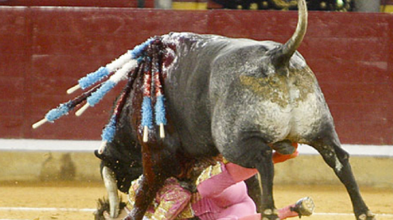 padilla_toros