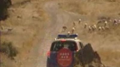 Los ganaderos de Colmenar Viejo piden más vigilancia para frenar la oleada de robos