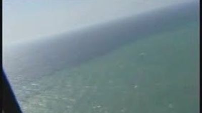 Manchas verdes en las aguas cercanas a la isla de Hierro