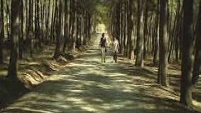 Paseo por Valgallego