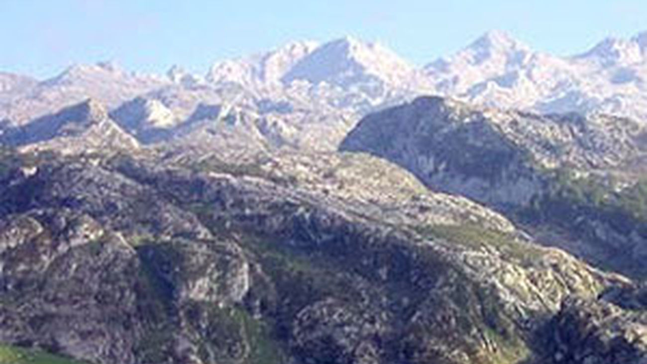 Picos de Europa