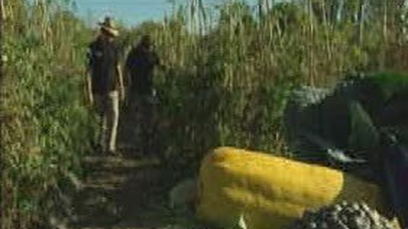 El miércoles arranca en Madrid Fruit Attraction en IFEMA