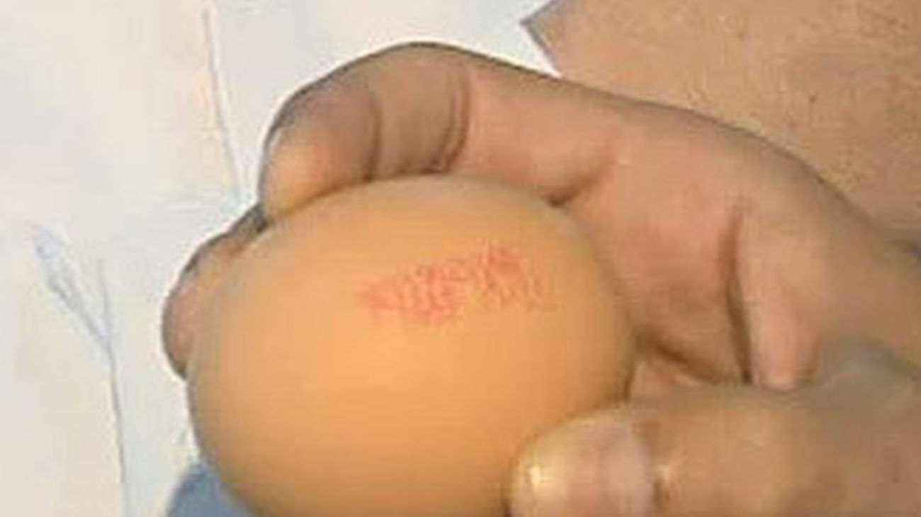 Celebramos el Día mundial del Huevo