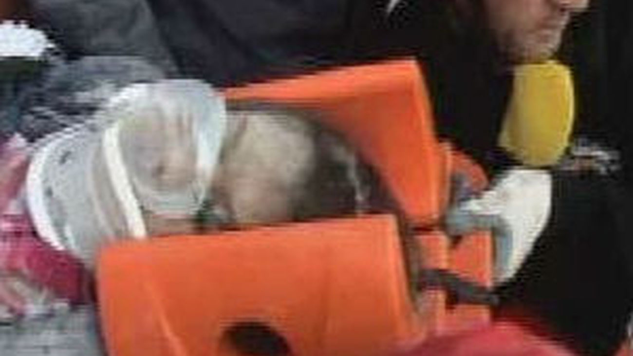 Un joven es rescatado bajo los escombros 91 horas después del seísmo en Turquía