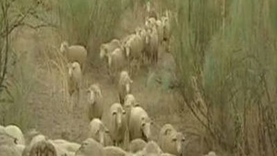 El Gobierno reunirá a sector lácteo y distribución para tratar crisis de precios