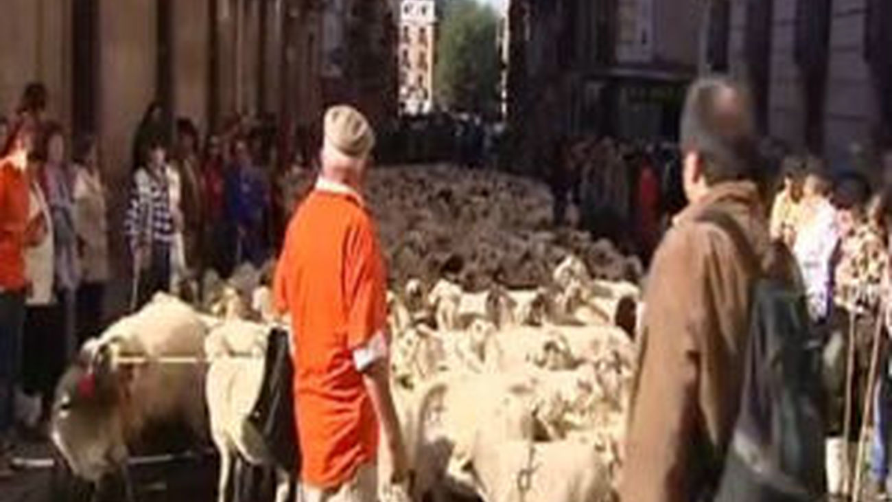 Las ovejas invaden Madrid