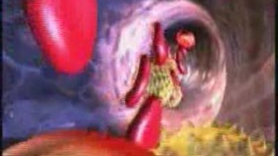 Los fitoesteroles bajan el colesterol un 10%