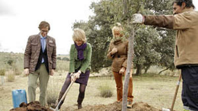 El nuevo parque forestal de Boadilla ha tenido una inversión de 1,2 millones