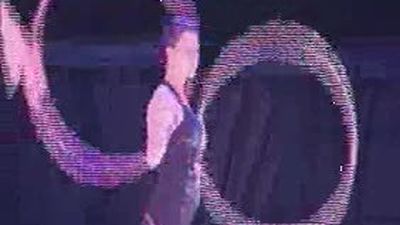 Roban unos 10.000 euros en  cables de cobre al circo de Teresa Rabal