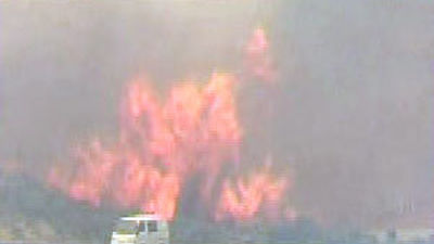 Un incendio forestal arrasa Australia