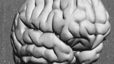 Los hombres no piensan siempre en el sexo