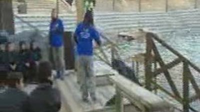 Un día con las focas, los osos y los leones marinos