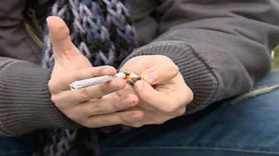 El Gobierno Vasco descarta que se vaya a legalizar el cannabis en Euskadi