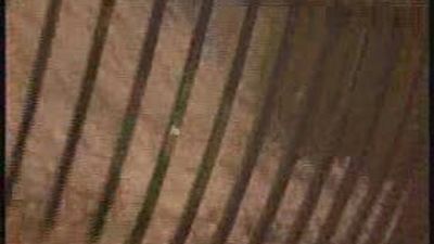 La avaricia rompe el saco