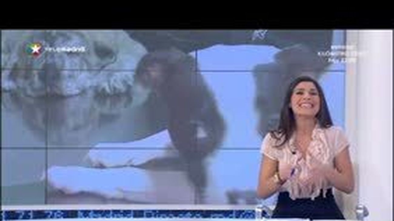 Toca ir al veterinario