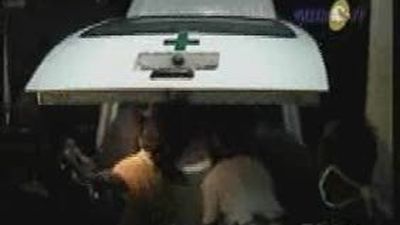 Se suspenden dos meses los trabajos con las cepas mutantes de la gripe aviar