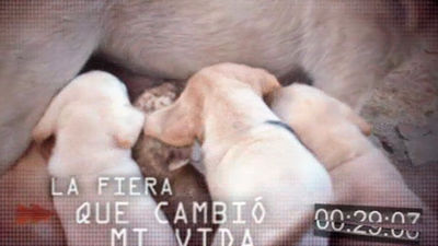 Mi cámara y yo: 'la fiera que cambió mi vida'