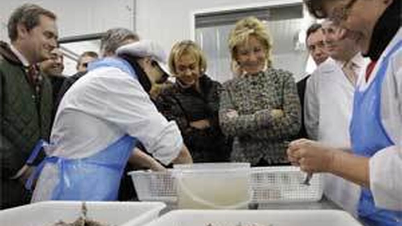 Madrid apoyará la innovación en el sector agroalimentario que emplea a 20.000 personas