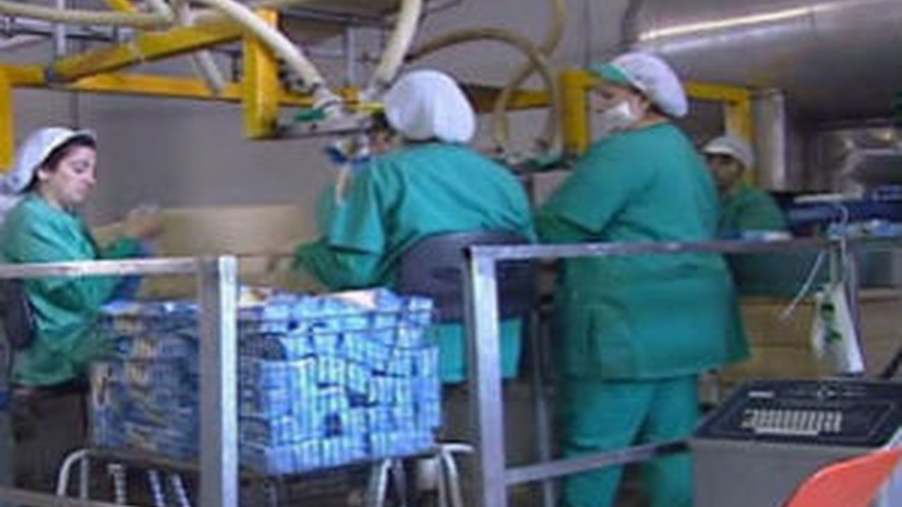 El BBVA pronostica una caída del 1,3% del PIB para 2012 y 5,7 millones de parados en 2013