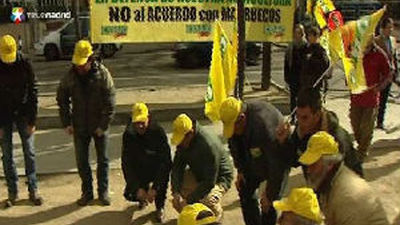 La Eurocámara aprueba al acuerdo agrícola con Marruecos que rechazan productores españoles