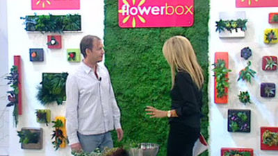 Un jardín vertical en casa