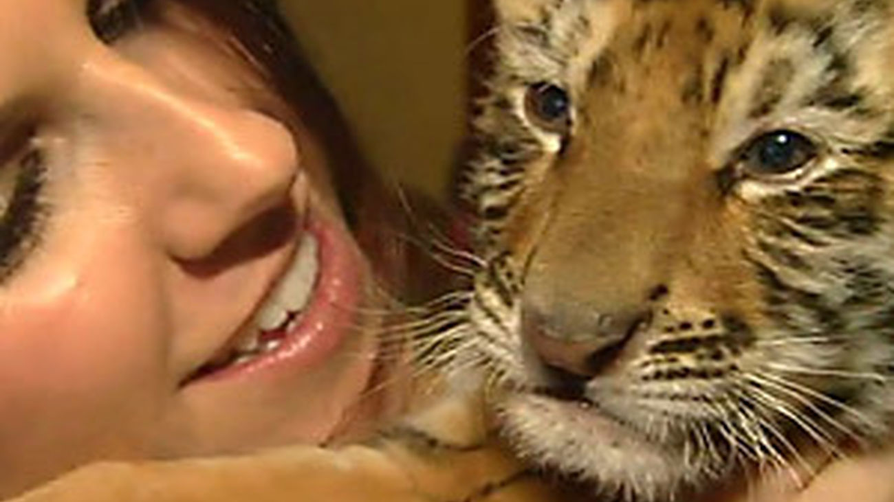 Una tigresa de mascota